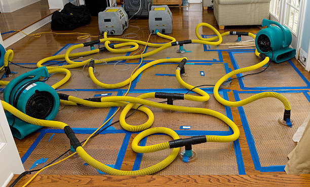 Professional Crawl Space Water Removal technician working in New Virginia, IA