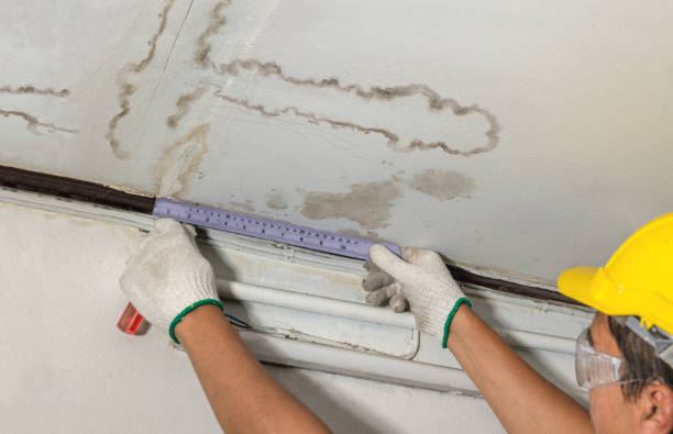 Affordable Water Damage Repair solutions in New Virginia, IA